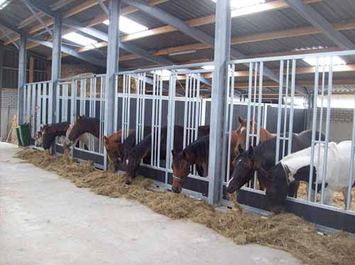 Paardenstal kopen Let op deze 3 dingen